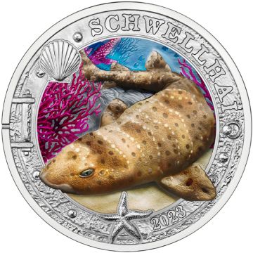 2023 Austria Copper-Nickel 2023 20gm Austria Copper-Nickel Frilled shark PN PN