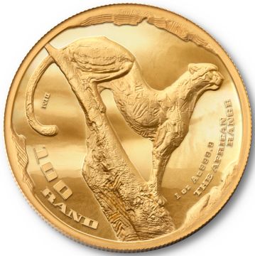 2026 1 oz South Africa Gold Cheetah PP